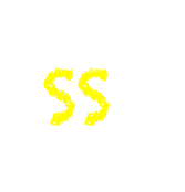 SS